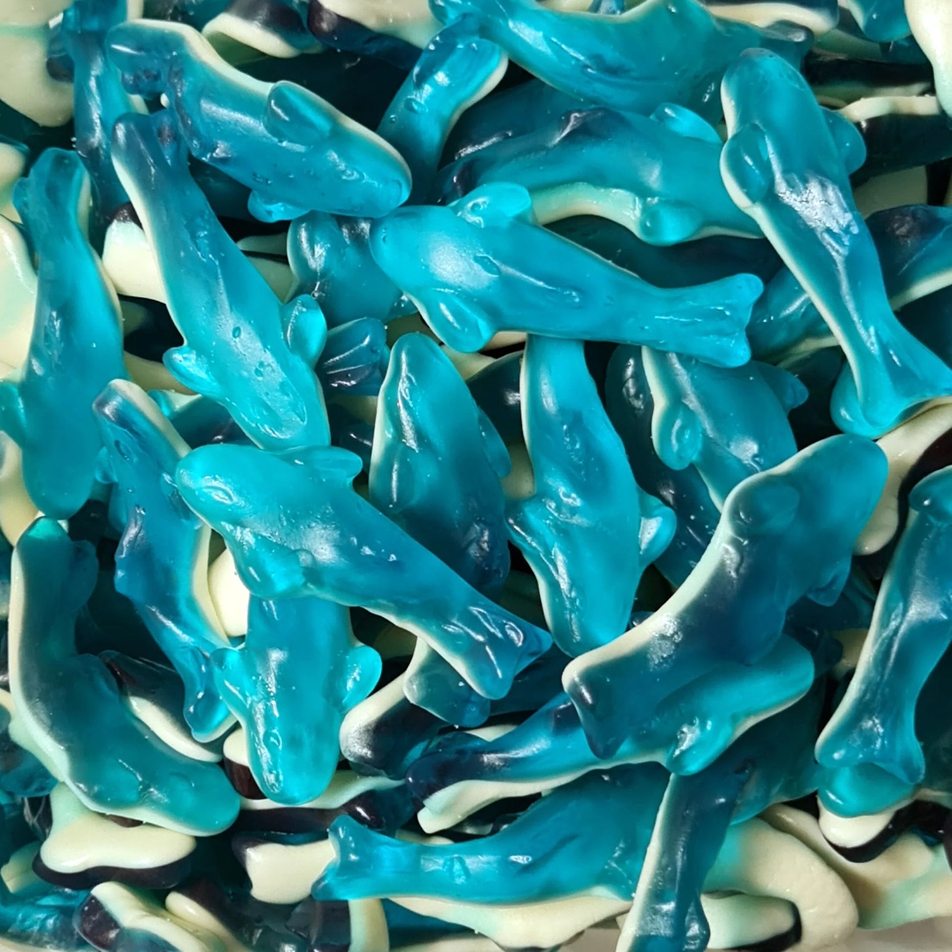 Blue and white gummy shark candies with detailed shark shapes showing fins, tails, and realistic shark features scattered across the frame